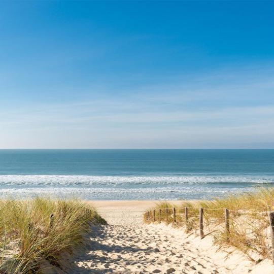 Seadream - Modern, Sunny With Big Terraces & Open View - Very Close To Sea, Beach, Shops, Restaurants & Beach Bars Nieuwpoort Exteriör bild